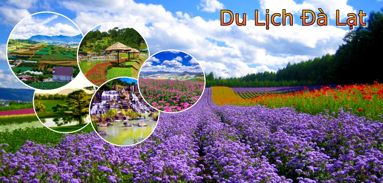  Tour Du Lịch Đà Lạt Giá Rẻ, Trọn Gói, Chuyên Nghiệp 2025