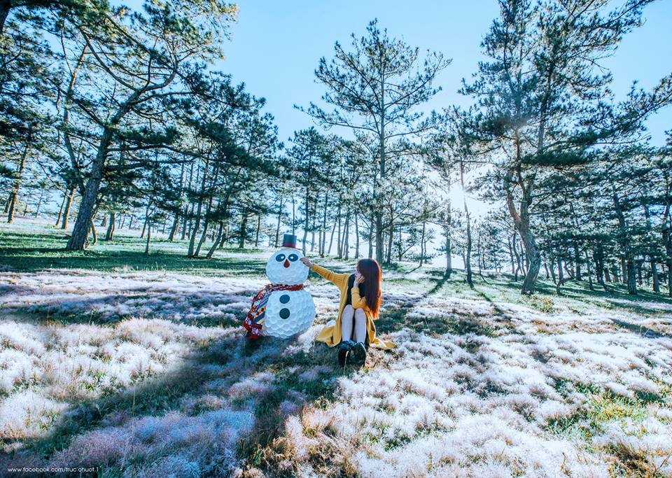 Cảnh đẹp Đà Lạt