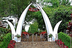 Du lịch Đà Lạt đắm mình giữa cao nguyên lộng gió Du lịch Đà Lạt đắm mình giữa cao nguyên lộng gió