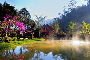 Du Lịch Đà Lạt Mùa Hè Thú Vị Đến Lạ Kỳ Du Lịch Đà Lạt Mùa Hè Thú Vị Đến Lạ Kỳ