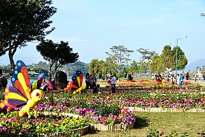 Festial Hoa Đà Lạt – Điểm Nhấn Đặc Biệt Nhất Của Du Lịch Đà Lạt Festial Hoa Đà Lạt – Điểm Nhấn Đặc Biệt Nhất Của Du Lịch Đà Lạt