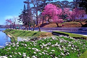 Thời Tiết Đà Lạt Thời Điểm Nào Cũng Tuyệt Để Du Lịch Thời Tiết Đà Lạt Thời Điểm Nào Cũng Tuyệt Để Du Lịch