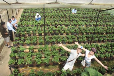 Du Lịch Nông Nghiệp Đà Lạt - Trào Lưu Mới Hớp Hồn Du Khách Du Lịch Nông Nghiệp Đà Lạt - Trào Lưu Mới Hớp Hồn Du Khách
