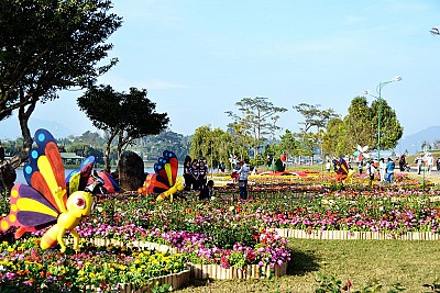 Festial Hoa Đà Lạt – Điểm Nhấn Đặc Biệt Nhất Của Năm Festial Hoa Đà Lạt – Điểm Nhấn Đặc Biệt Nhất Của Năm