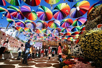 Lễ hội hoa Đà Lạt lần thứ 8 bao giờ sẽ được tổ chức Lễ hội hoa Đà Lạt lần thứ 8 bao giờ sẽ được tổ chức