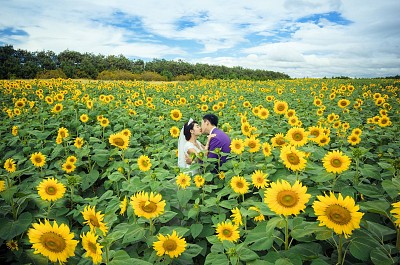 Những địa điểm chụp hình cưới tuyệt đẹp ở Đà Lạt Những địa điểm chụp hình cưới tuyệt đẹp ở Đà Lạt