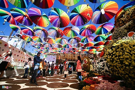 Đà Lạt Rực Rỡ Trước Ngày Khai Mạc Festival Hoa