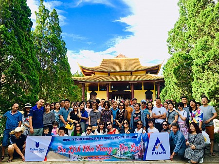 Đổi Hoa Dã Quỳ - Đồi Cỏ Hồng - Cao Nguyên Lâm Viên