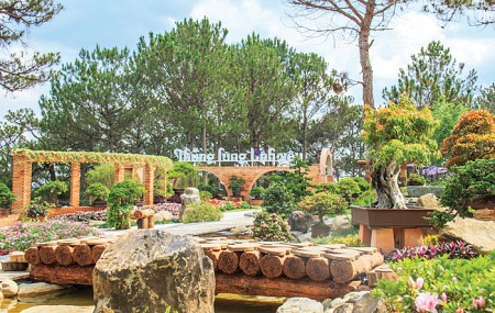 Festival Hoa Đà Lạt 3 Ngày 2 Đêm Từ TP. Hồ Chí Minh