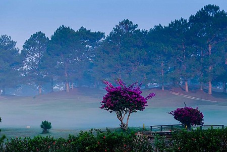 Khách sạn Best Western Plaza Đà Lạt