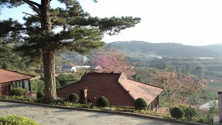 Làng Biệt thự Osaka Đà Lạt