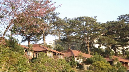 Làng Biệt thự Osaka Đà Lạt