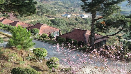 Làng Biệt thự Osaka Đà Lạt