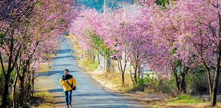 Siêu Tiết Kiệm KH từ Hà Nội 4 Ngày 3 Đêm siêu Khuyến Mãi