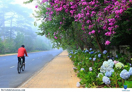 Vẻ đẹp của Đà Lạt