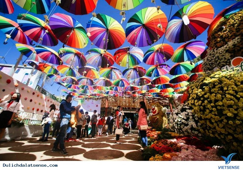 Lễ hội hoa Đà Lạt lần thứ 8 bao giờ sẽ được tổ chức - Ảnh 1 Lễ hội hoa Đà Lạt lần thứ 8 bao giờ sẽ được tổ chức - Ảnh 1