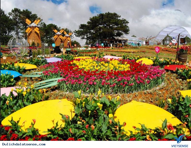Lễ hội hoa Đà Lạt lần thứ 8 bao giờ sẽ được tổ chức - Ảnh 2 Lễ hội hoa Đà Lạt lần thứ 8 bao giờ sẽ được tổ chức - Ảnh 2