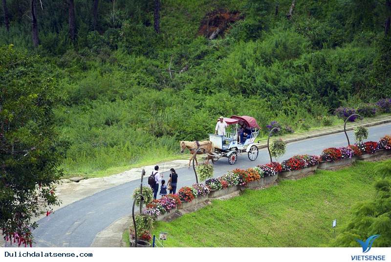 Thung lũng tình yêu địa điểm đẹp cho mối tình đầu - Ảnh 5 Thung lũng tình yêu địa điểm đẹp cho mối tình đầu - Ảnh 5