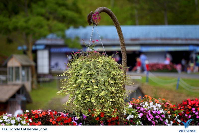 Thung lũng tình yêu địa điểm đẹp cho mối tình đầu - Ảnh 9 Thung lũng tình yêu địa điểm đẹp cho mối tình đầu - Ảnh 9