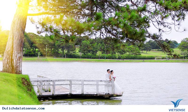 "3 Không" Giúp Đà Lạt Trở Thành Thành Phố Đáng Sống Bậc Nhất Việt Nam - Ảnh 4 "3 Không" Giúp Đà Lạt Trở Thành Thành Phố Đáng Sống Bậc Nhất Việt Nam - Ảnh 4