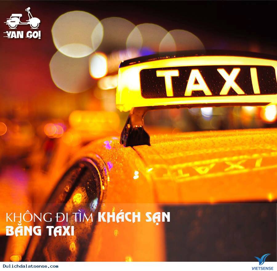 6 Điều Không Nên Làm Khi Đến Xứ Sở Sương Mờ Đà Lạt - Ảnh 6 6 Điều Không Nên Làm Khi Đến Xứ Sở Sương Mờ Đà Lạt - Ảnh 6