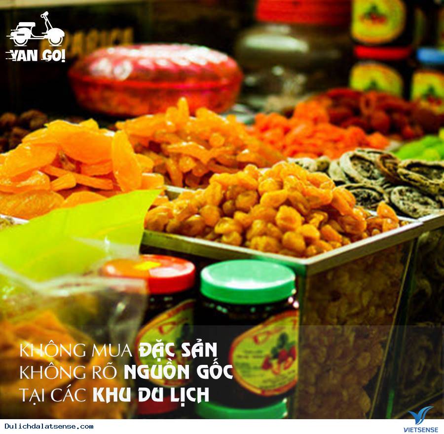 6 Điều Không Nên Làm Khi Đến Xứ Sở Sương Mờ Đà Lạt - Ảnh 2 6 Điều Không Nên Làm Khi Đến Xứ Sở Sương Mờ Đà Lạt - Ảnh 2