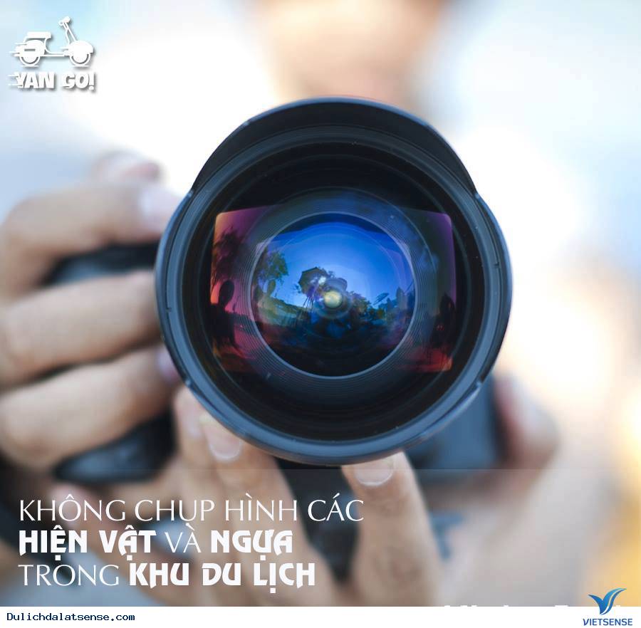 6 Điều Không Nên Làm Khi Đến Xứ Sở Sương Mờ Đà Lạt - Ảnh 7 6 Điều Không Nên Làm Khi Đến Xứ Sở Sương Mờ Đà Lạt - Ảnh 7