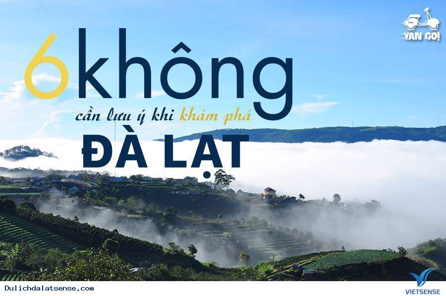6 Điều Không Nên Làm Khi Đến Xứ Sở Sương Mờ Đà Lạt - Ảnh 1 6 Điều Không Nên Làm Khi Đến Xứ Sở Sương Mờ Đà Lạt - Ảnh 1