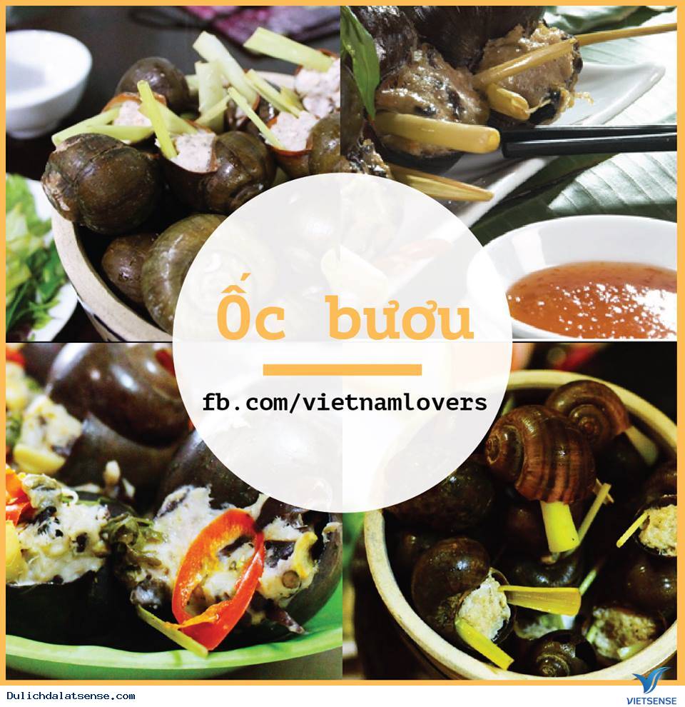 Bí Kíp Ăn Ngập Mặt Ở Đà Lạt - Ảnh 2