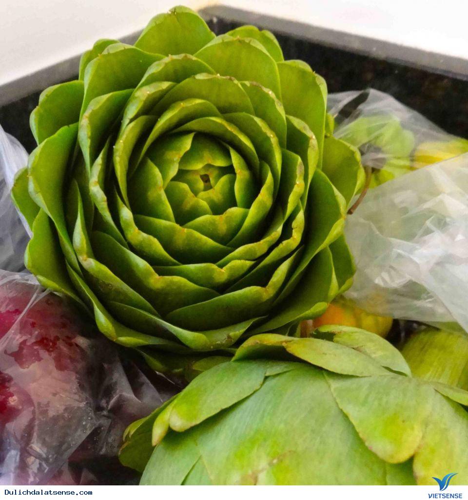 Canh Atiso Hầm Giò Heo Đà Lạt – Đỉnh Cao Của Ẩm Thực Đà Lạt - Ảnh 1 Canh Atiso Hầm Giò Heo Đà Lạt – Đỉnh Cao Của Ẩm Thực Đà Lạt - Ảnh 1