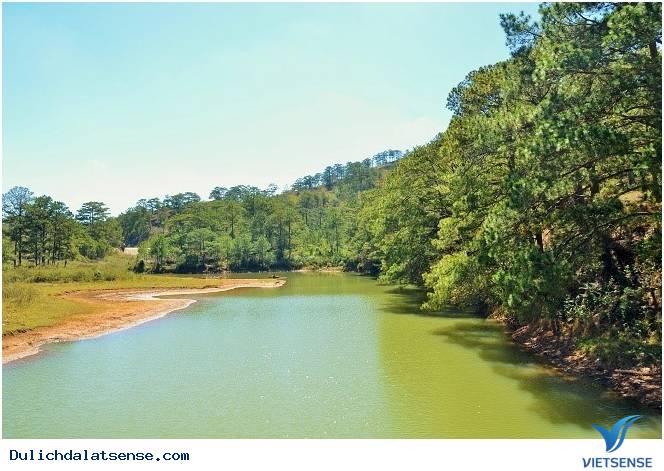 Đà Lạt Chuyển Mình Sang Xuân - Mộng Mơ Và Trầm Lắng - Ảnh 5 Đà Lạt Chuyển Mình Sang Xuân - Mộng Mơ Và Trầm Lắng - Ảnh 5