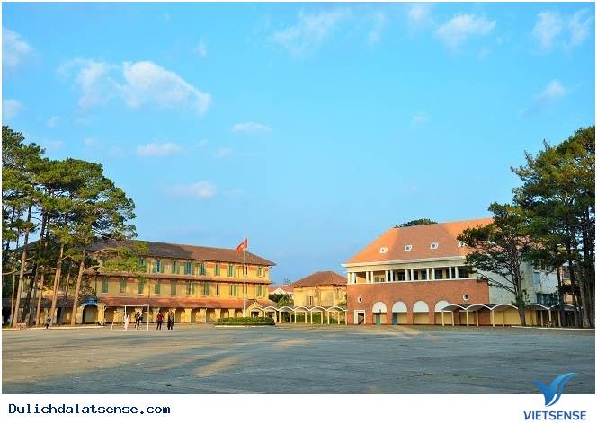 Đà Lạt Chuyển Mình Sang Xuân - Mộng Mơ Và Trầm Lắng - Ảnh 12 Đà Lạt Chuyển Mình Sang Xuân - Mộng Mơ Và Trầm Lắng - Ảnh 12