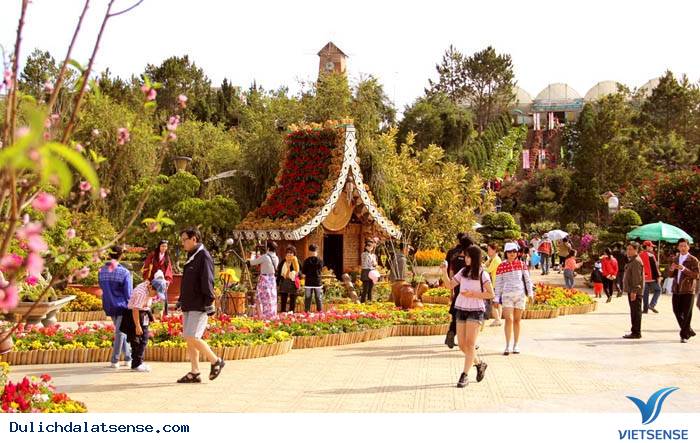 Đà Lạt điểm đến hot nhất Tết 2025 - Ảnh 1 Đà Lạt điểm đến hot nhất Tết 2025 - Ảnh 1