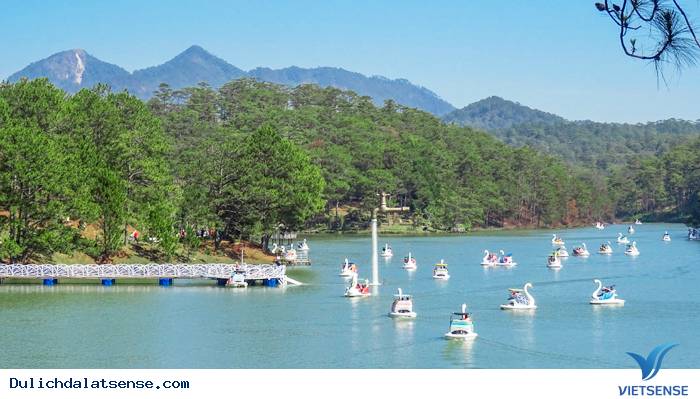 Đà Lạt hút khách trong dịp nghỉ Tết Dương lịch - Ảnh 2 Đà Lạt hút khách trong dịp nghỉ Tết Dương lịch - Ảnh 2