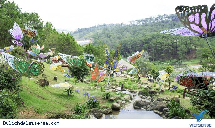 Đà Lạt mộng mơ trong làn sương đầy sắc thu - Ảnh 3