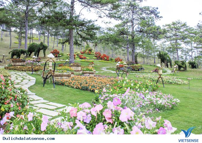 Đà Lạt mộng mơ trong làn sương đầy sắc thu - Ảnh 2