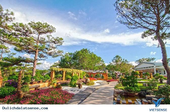 Đà Lạt mộng mơ trong làn sương đầy sắc thu - Ảnh 4