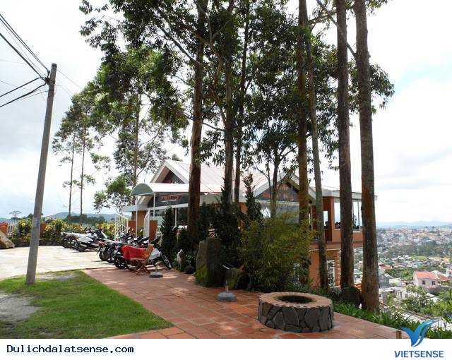 Đà Lạt Nights Coffee - Quán Cafe Mang Đậm Chất Đà Lạt Xưa Và Nay - Ảnh 8 Đà Lạt Nights Coffee - Quán Cafe Mang Đậm Chất Đà Lạt Xưa Và Nay - Ảnh 8