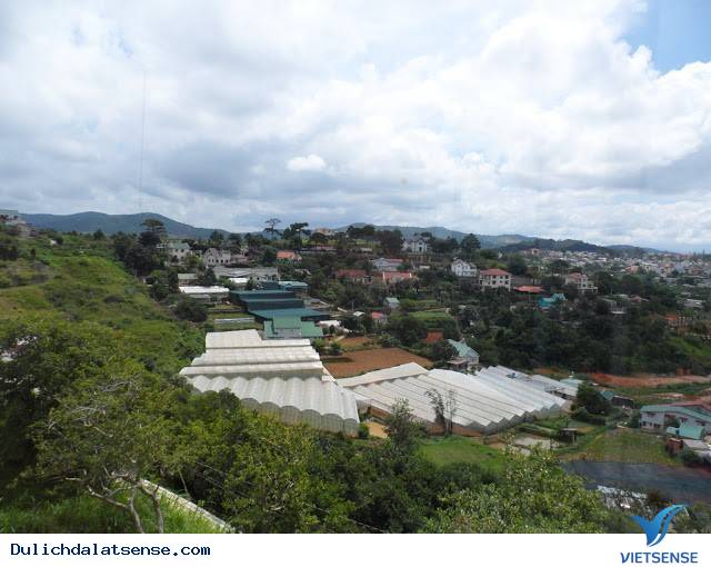 Đà Lạt Nights Coffee - Quán Cafe Mang Đậm Chất Đà Lạt Xưa Và Nay - Ảnh 4 Đà Lạt Nights Coffee - Quán Cafe Mang Đậm Chất Đà Lạt Xưa Và Nay - Ảnh 4