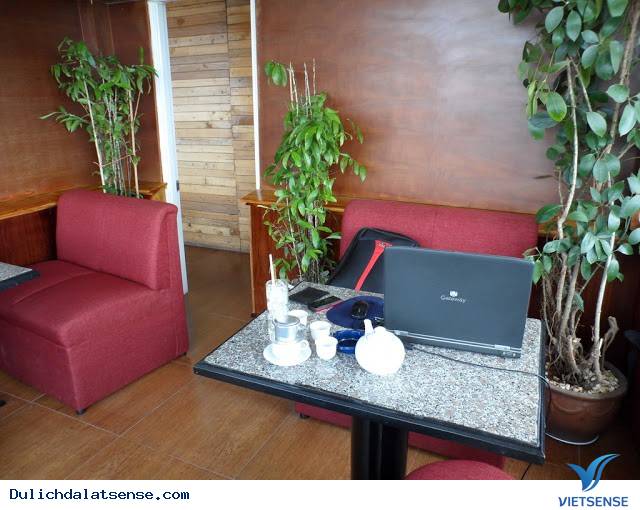 Đà Lạt Nights Coffee - Quán Cafe Mang Đậm Chất Đà Lạt Xưa Và Nay - Ảnh 5 Đà Lạt Nights Coffee - Quán Cafe Mang Đậm Chất Đà Lạt Xưa Và Nay - Ảnh 5