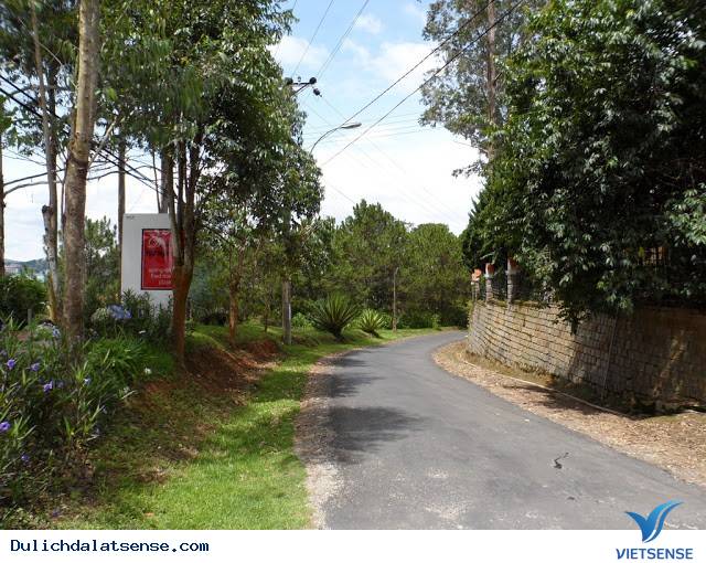 Đà Lạt Nights Coffee - Quán Cafe Mang Đậm Chất Đà Lạt Xưa Và Nay - Ảnh 9 Đà Lạt Nights Coffee - Quán Cafe Mang Đậm Chất Đà Lạt Xưa Và Nay - Ảnh 9