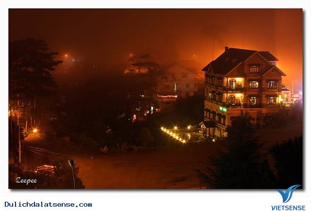 Đà Lạt Nights Coffee - Quán Cafe Mang Đậm Chất Đà Lạt Xưa Và Nay - Ảnh 1 Đà Lạt Nights Coffee - Quán Cafe Mang Đậm Chất Đà Lạt Xưa Và Nay - Ảnh 1