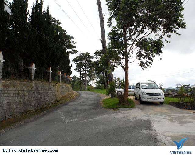 Đà Lạt Nights Coffee - Quán Cafe Mang Đậm Chất Đà Lạt Xưa Và Nay - Ảnh 12 Đà Lạt Nights Coffee - Quán Cafe Mang Đậm Chất Đà Lạt Xưa Và Nay - Ảnh 12