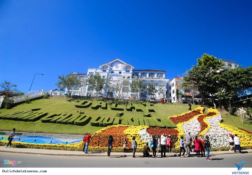 Đà Lạt Rực Rỡ Trước Ngày Khai Mạc Festival Hoa 2015 - Ảnh 5 Đà Lạt Rực Rỡ Trước Ngày Khai Mạc Festival Hoa 2015 - Ảnh 5