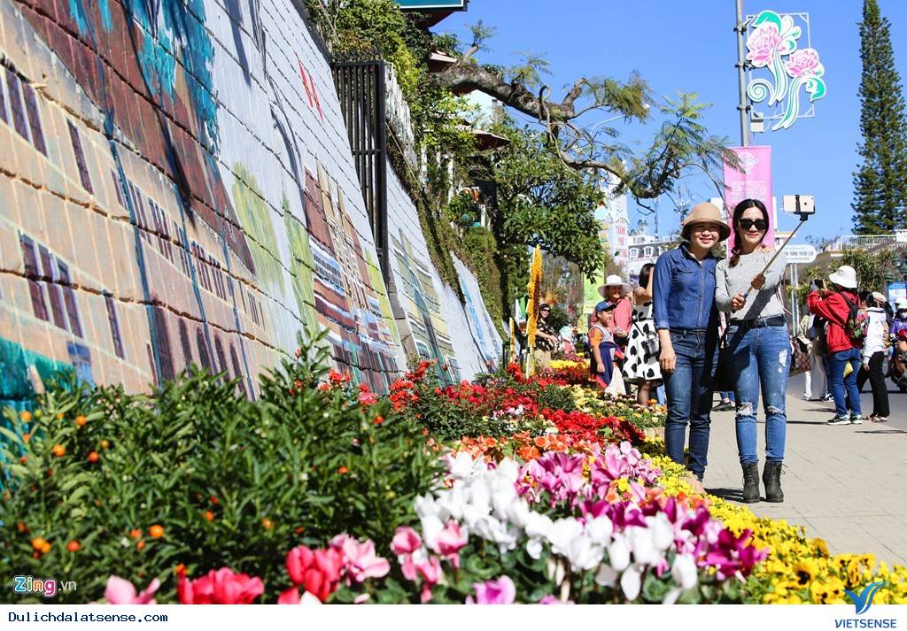 Đà Lạt Rực Rỡ Trước Ngày Khai Mạc Festival Hoa 2015 - Ảnh 6 Đà Lạt Rực Rỡ Trước Ngày Khai Mạc Festival Hoa 2015 - Ảnh 6