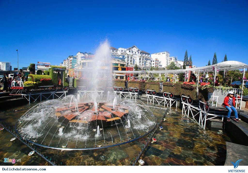 Đà Lạt Rực Rỡ Trước Ngày Khai Mạc Festival Hoa - Ảnh 3 Đà Lạt Rực Rỡ Trước Ngày Khai Mạc Festival Hoa - Ảnh 3