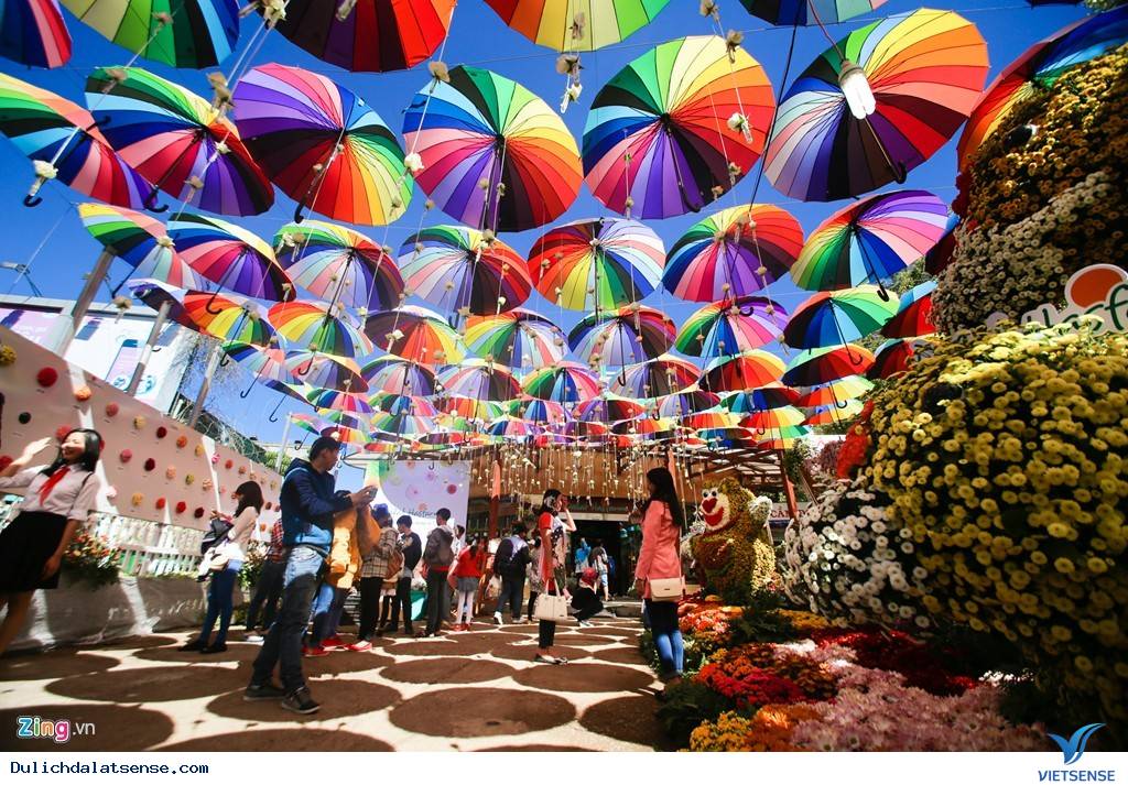 Đà Lạt Rực Rỡ Trước Ngày Khai Mạc Festival Hoa 2015 - Ảnh 9 Đà Lạt Rực Rỡ Trước Ngày Khai Mạc Festival Hoa 2015 - Ảnh 9