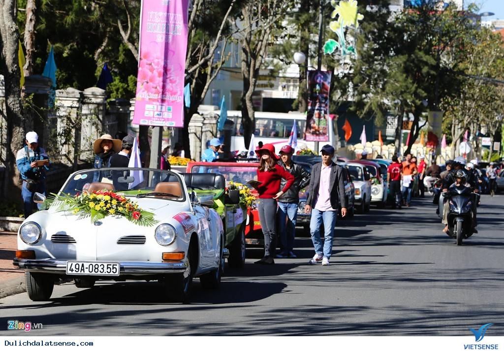 Đà Lạt Rực Rỡ Trước Ngày Khai Mạc Festival Hoa - Ảnh 2 Đà Lạt Rực Rỡ Trước Ngày Khai Mạc Festival Hoa - Ảnh 2