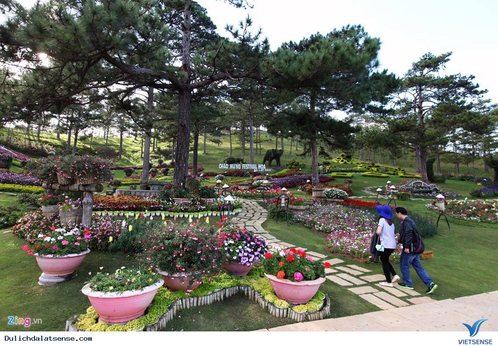 Đà Lạt Tuyệt Đẹp Rực Rỡ Sắc Hoa Tại Festival Hoa 2025 - Ảnh 1 Đà Lạt Tuyệt Đẹp Rực Rỡ Sắc Hoa Tại Festival Hoa 2025 - Ảnh 1