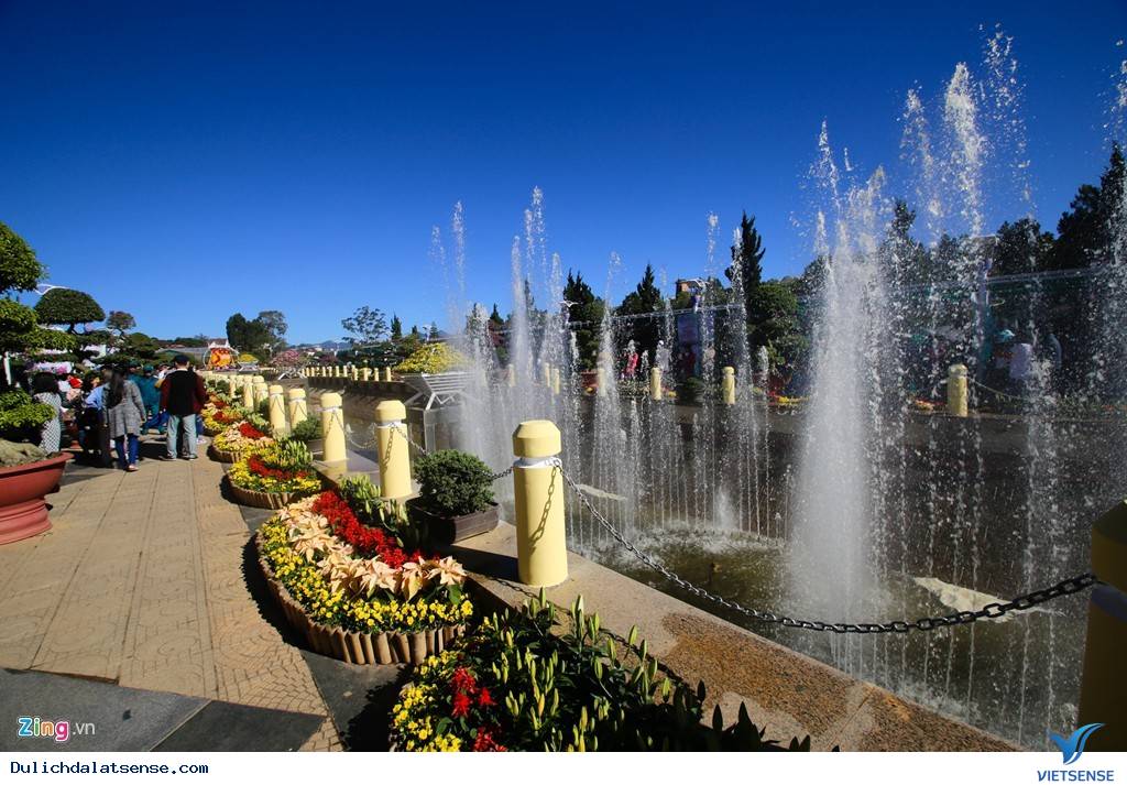 Đà Lạt Tuyệt Đẹp Rực Rỡ Sắc Hoa Tại Festival Hoa 2025 - Ảnh 13 Đà Lạt Tuyệt Đẹp Rực Rỡ Sắc Hoa Tại Festival Hoa 2025 - Ảnh 13